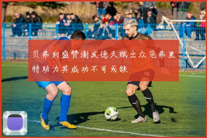 贝弗利盛赞谢泼德天赋出众范弗里特助力其成功不可或缺