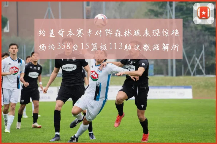 约基奇本赛季对阵森林狼表现惊艳场均358分15篮板113助攻数据解析