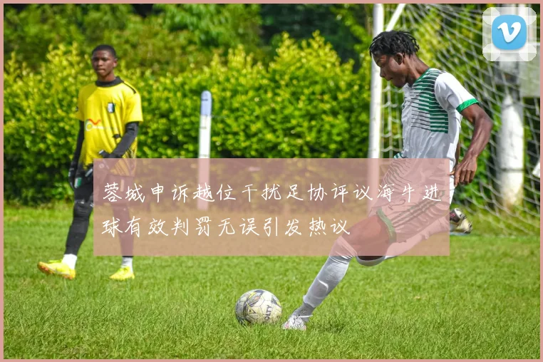 蓉城申诉越位干扰足协评议海牛进球有效判罚无误引发热议