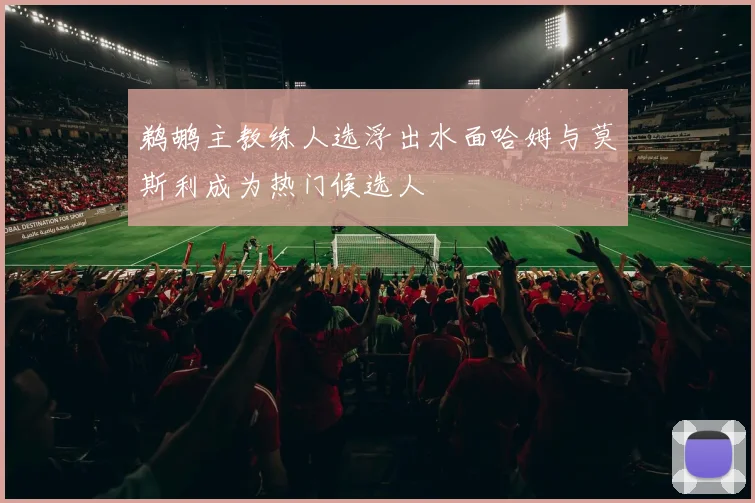 鹈鹕主教练人选浮出水面哈姆与莫斯利成为热门候选人